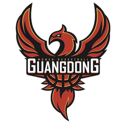 东莞新世纪女篮logo