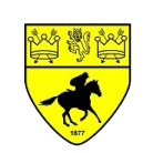  新市镇