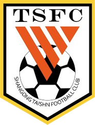 山东泰山logo