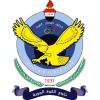 巴格达空军