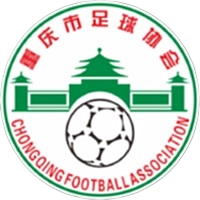 重庆绿茵西南大附中学U15