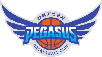  大邱石油公社飞马