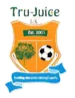 纯果FC