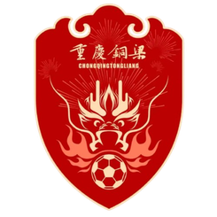 铜梁火龙队
