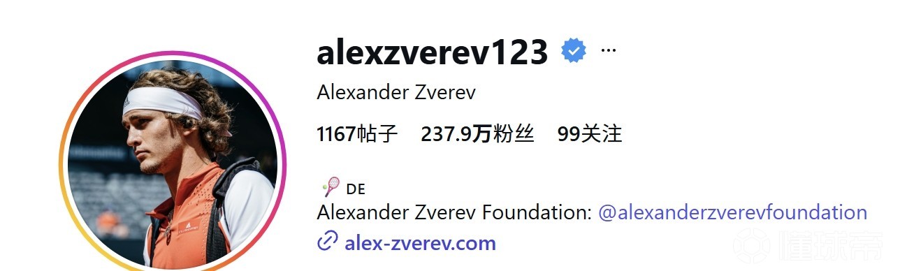 兹维列夫社媒从未关注过辛纳阿卡，其关注总数一直是99