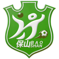 保山队
