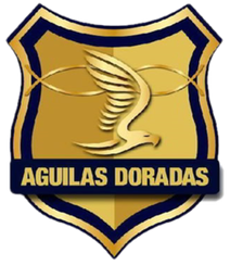 里奥内格罗老鹰