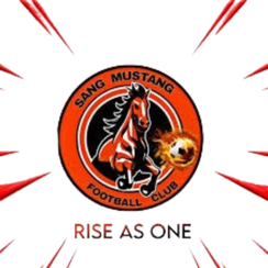 桑野马FC