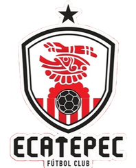 埃卡泰佩克FC
